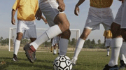 正在直播澳司vs奥卡汉加联合FC 纳米超集锦_录像回放视频 2025-04-12-360直播